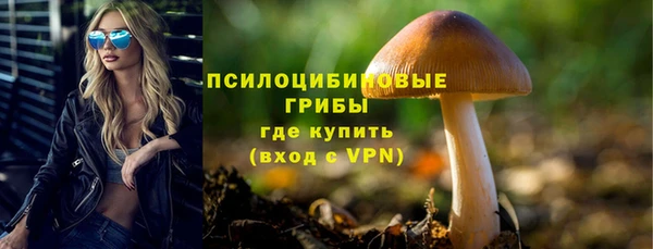 индика Волосово