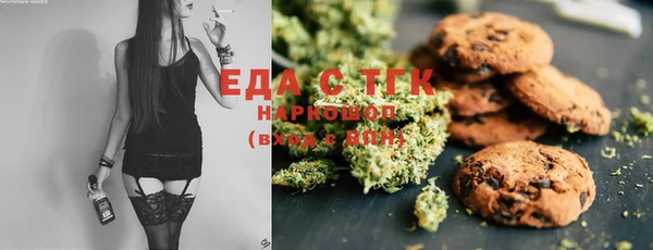 индика Волосово