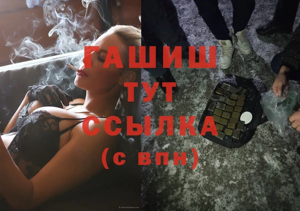 индика Волосово